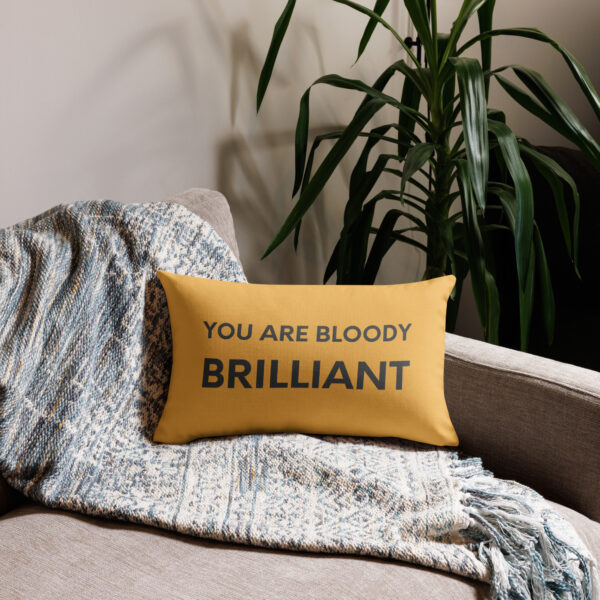 You Are Bloody Brilliant | Cushion (12″ X 20″) - Image 2