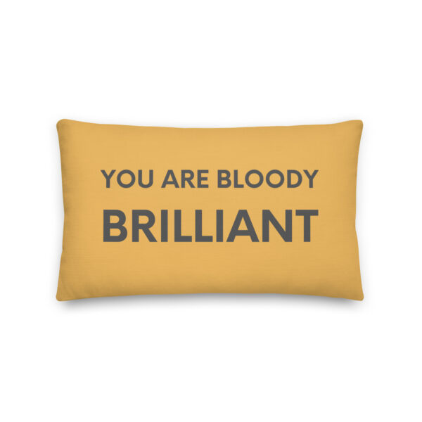 You Are Bloody Brilliant | Cushion (12″ X 20″)